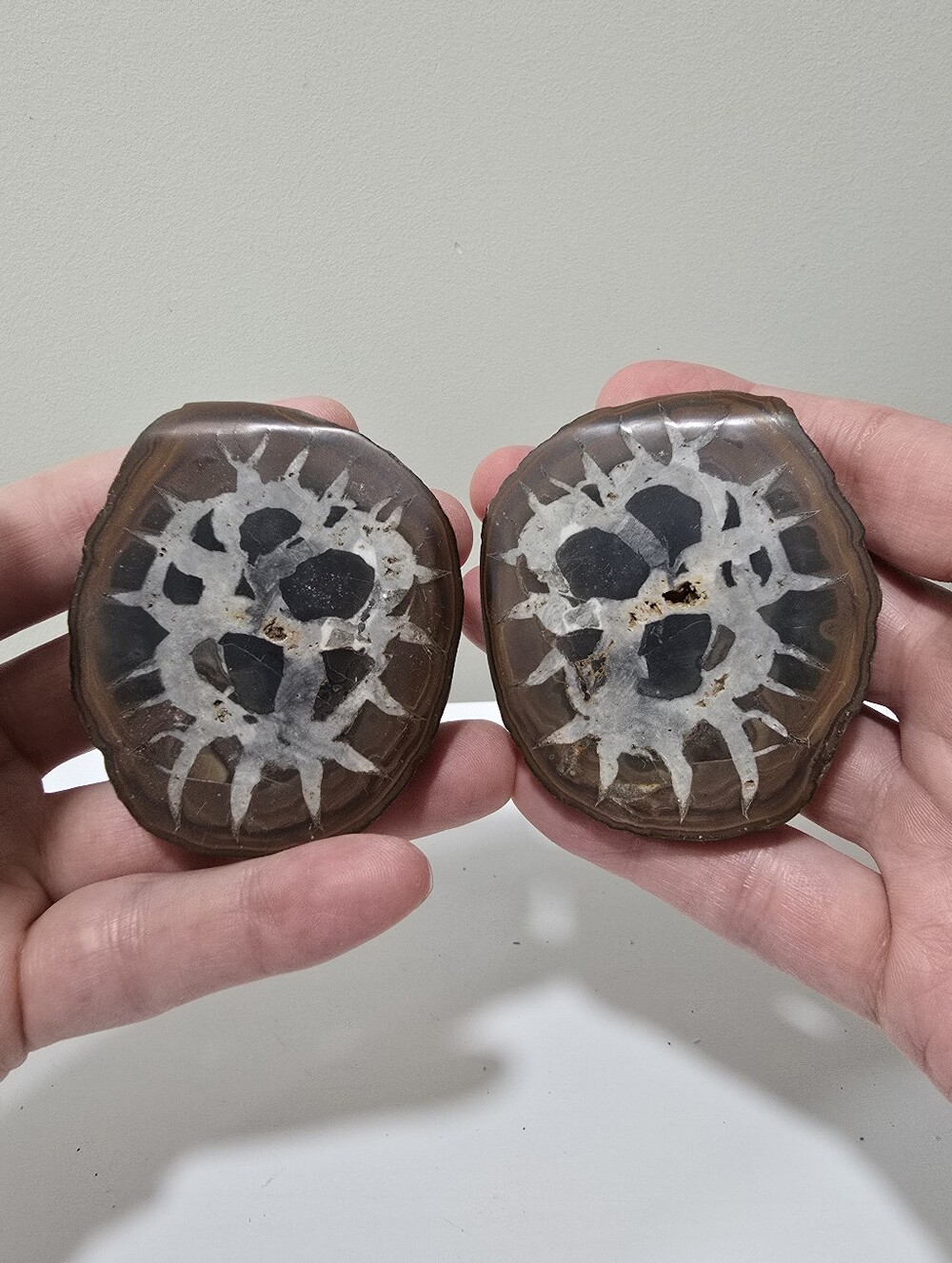 Septarian Crystal Nodule (both halves)